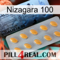 Nizagara 100 44